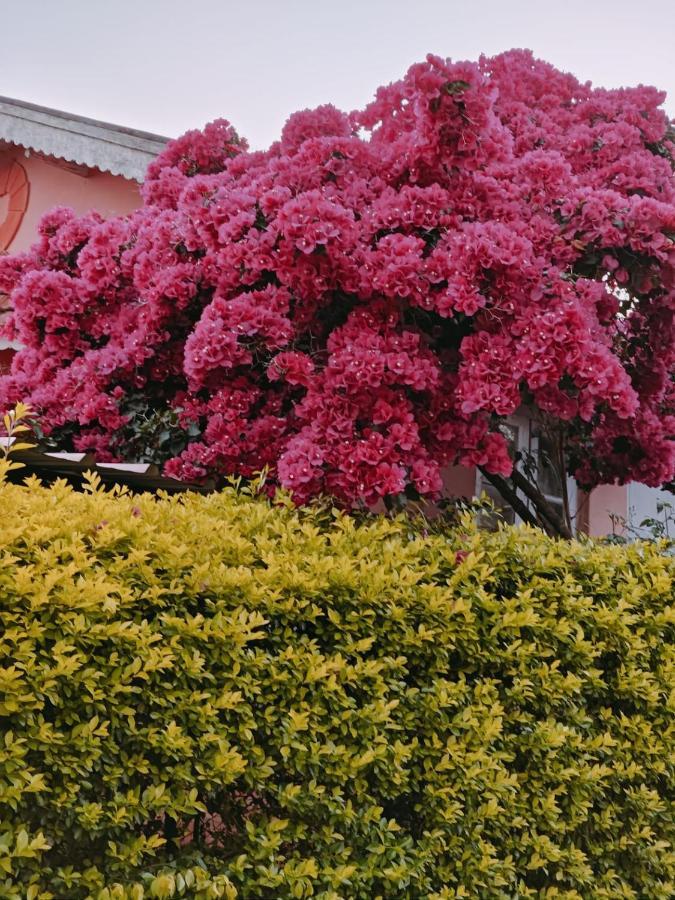 Bed and Breakfast Camellia Heights 1&2 Coonoor Esterno foto